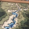 flg4